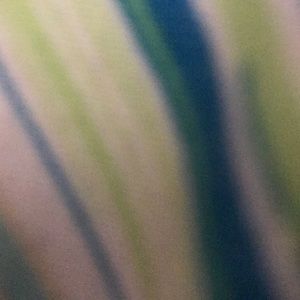 Meet your Posher, Kaur